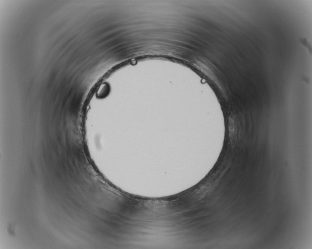 X0000103941068200809191142