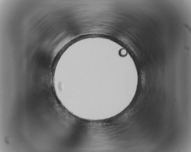 X0000103941069200809191142
