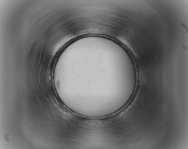 X0000103941070200809191142