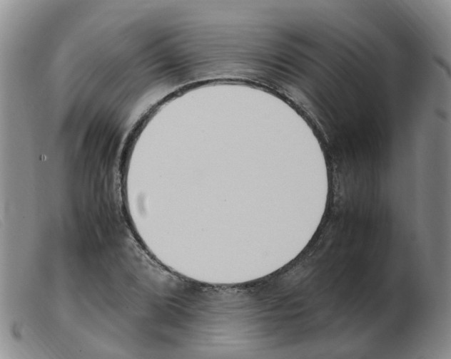 X0000103941072200809191142