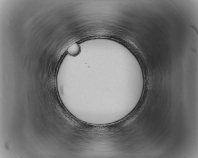 X0000103941073200809191142