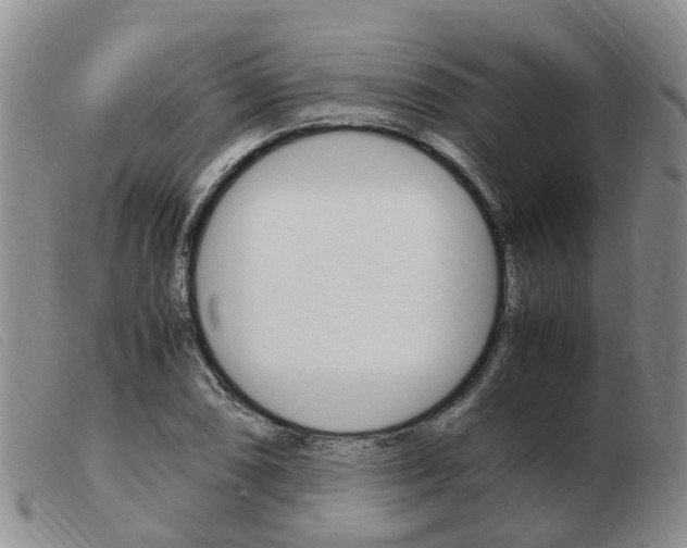X0000103941074200809191142