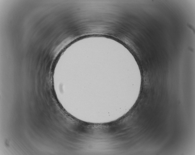 X0000103941077200809191142