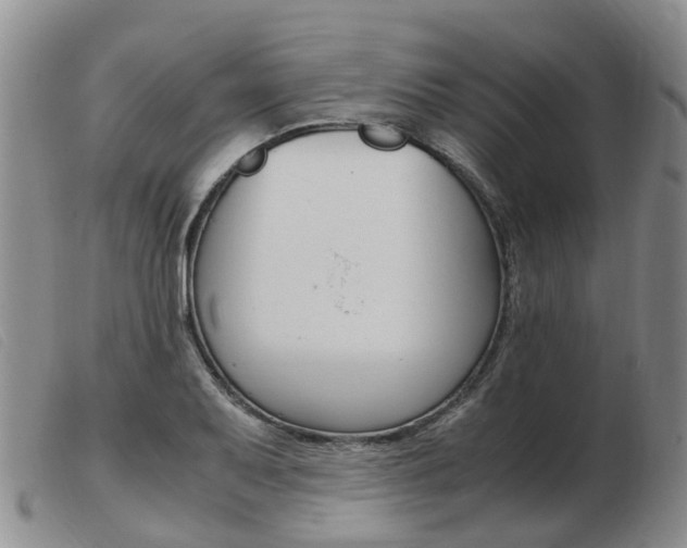 X0000103941079200809191142