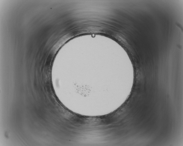X0000103941081200809191142