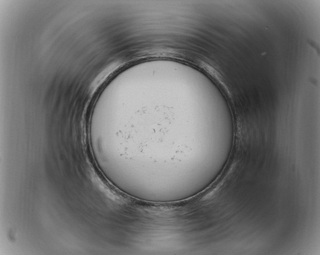 X0000103941082200809191142