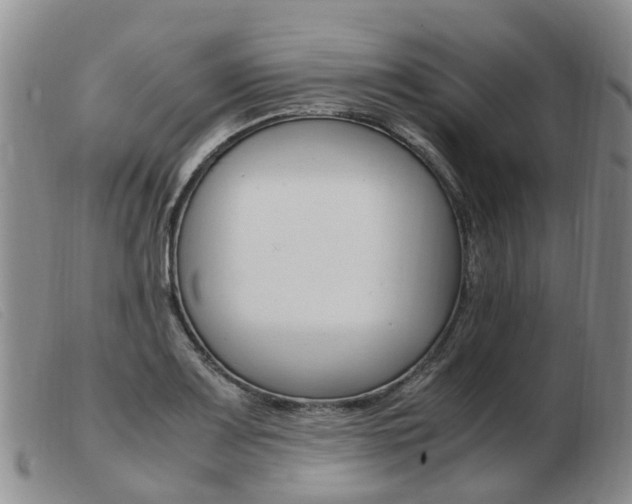 X0000103941083200809191142