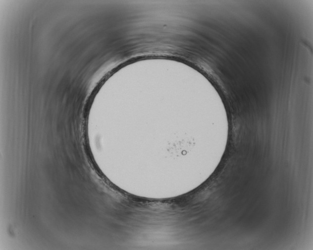 X0000103941085200809191142
