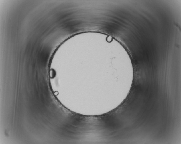X0000103941088200809191142