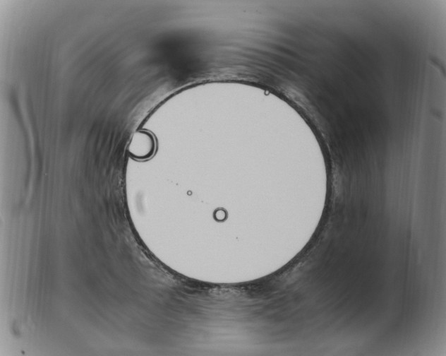 X0000103941089200809191142