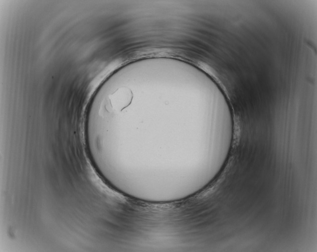 X0000103941090200809191142