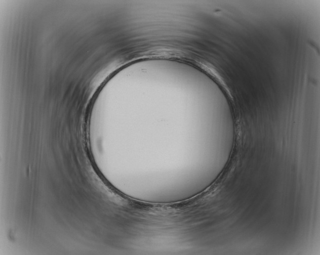 X0000103941091200809191142