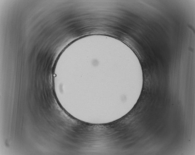 X0000103941092200809191142