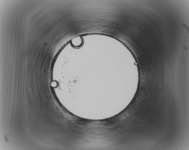 X0000103941093200809191142
