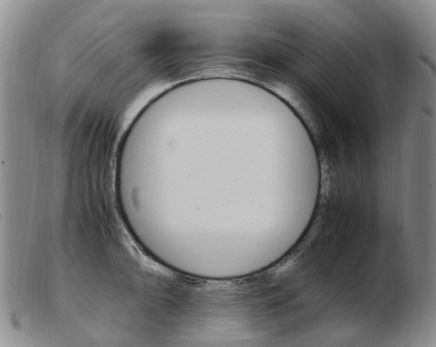 X0000103941094200809191142
