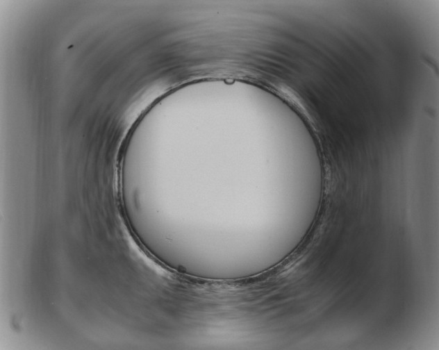X0000103941095200809191142