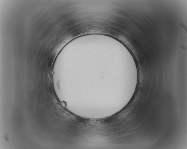 X0000103941097200809191142