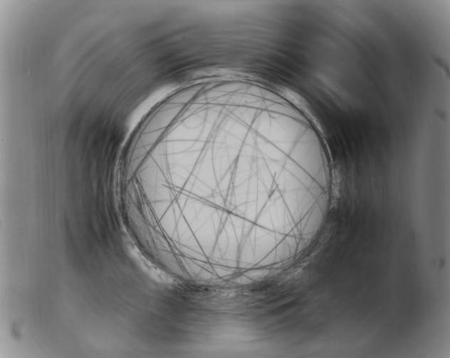 X0000103941098200809191142