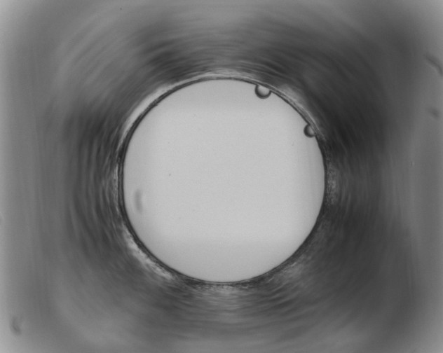 X0000103941100200809191142