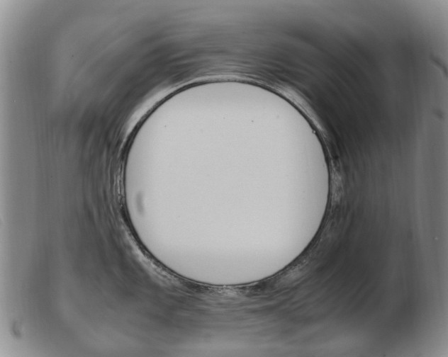 X0000103941101200809191142
