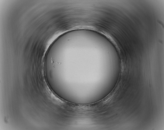 X0000103941102200809191142
