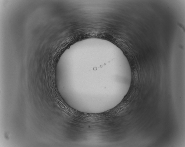 X0000103941105200809191141