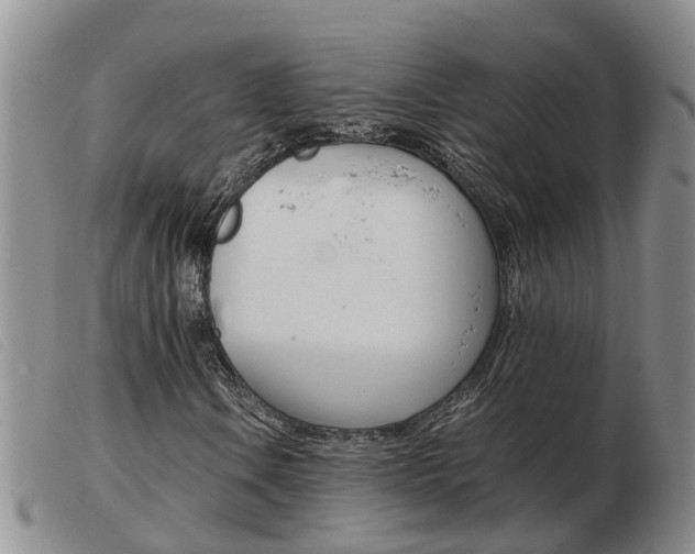 X0000103941106200809191141