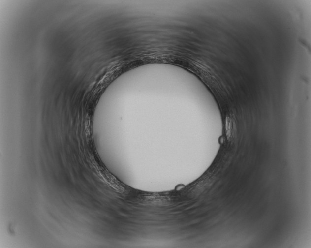 X0000103941107200809191141