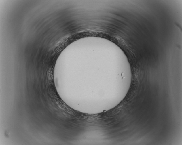 X0000103941110200809191141
