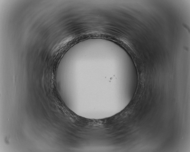 X0000103941111200809191141