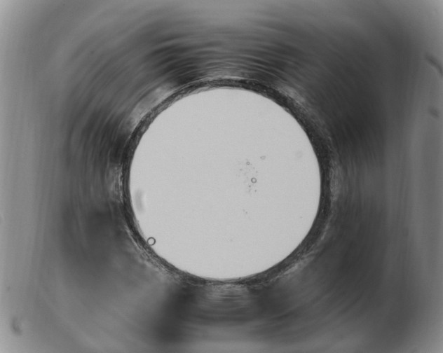 X0000103941113200809191141