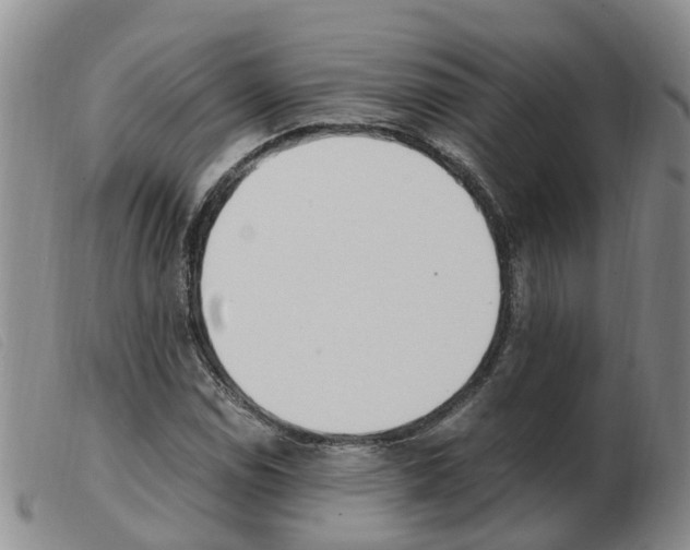 X0000103941114200809191141