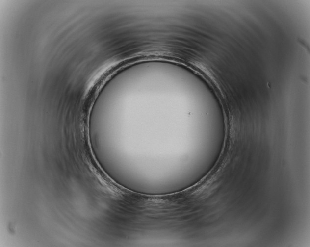X0000103941115200809191141
