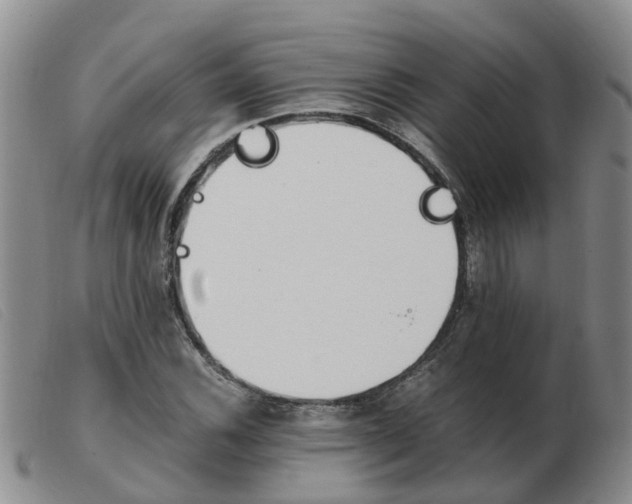 X0000103941116200809191141
