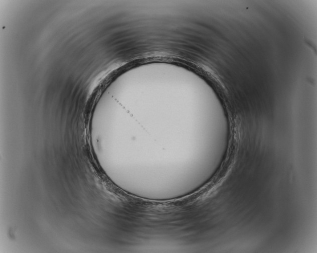 X0000103941117200809191141
