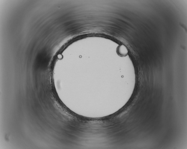 X0000103941118200809191141