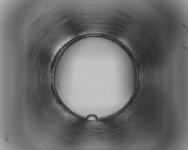 X0000103941119200809191141