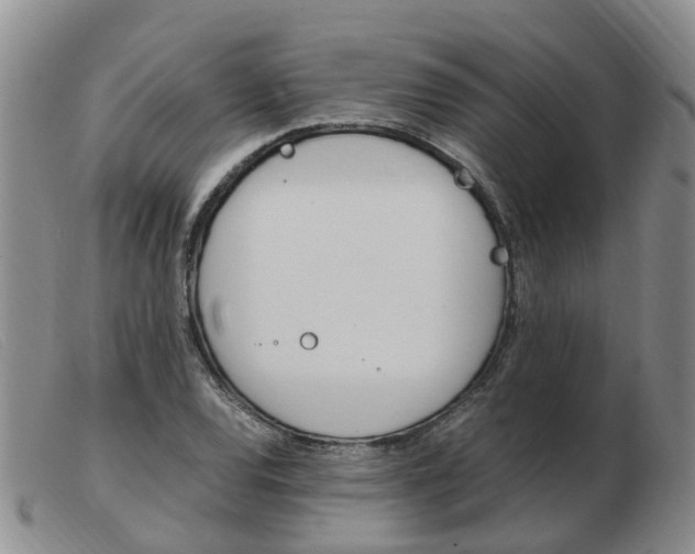 X0000103941120200809191141