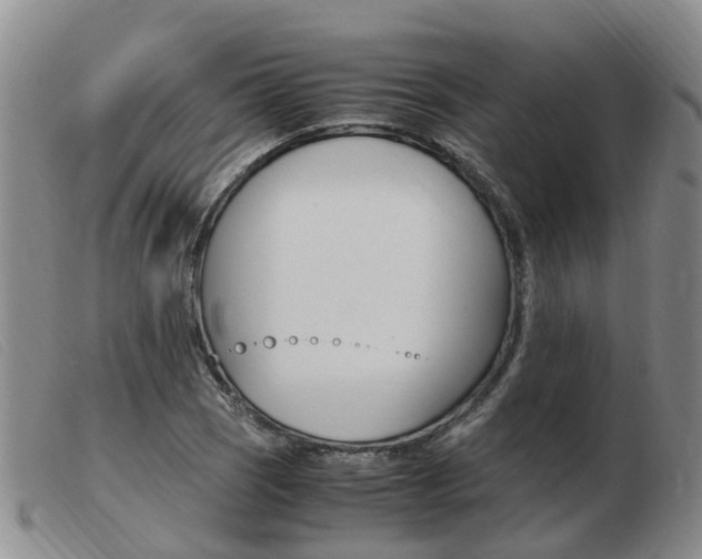 X0000103941121200809191141