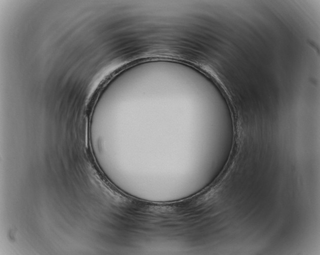 X0000103941123200809191141