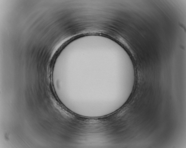 X0000103941124200809191141
