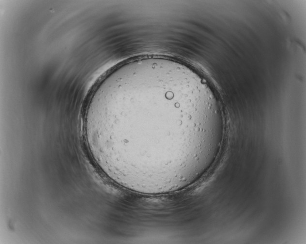 X0000103941125200809191141