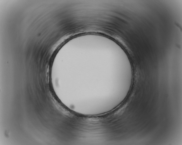 X0000103941126200809191141