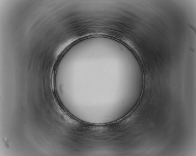 X0000103941127200809191141