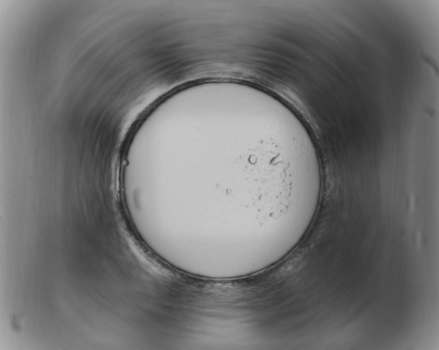 X0000103941128200809191141