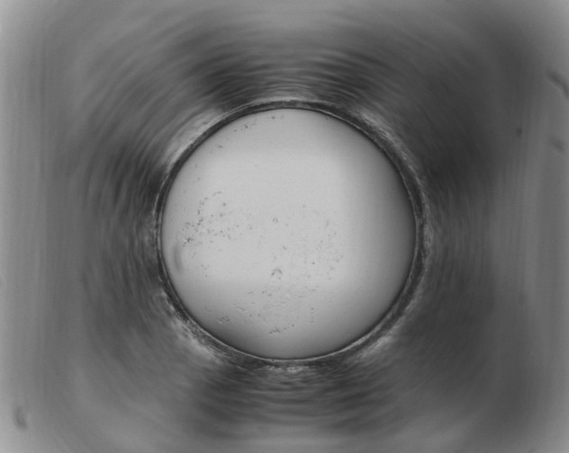 X0000103941129200809191141