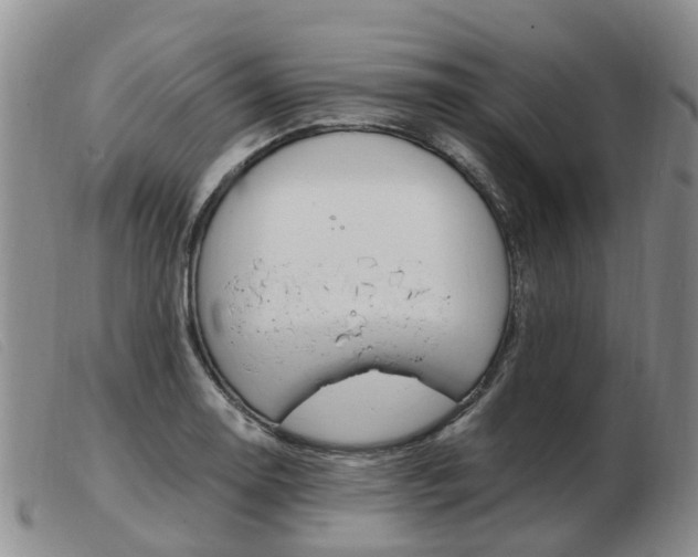 X0000103941130200809191141