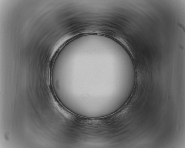 X0000103941131200809191141