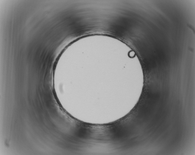 X0000103941132200809191141