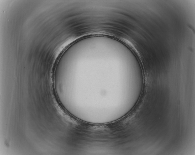 X0000103941133200809191141